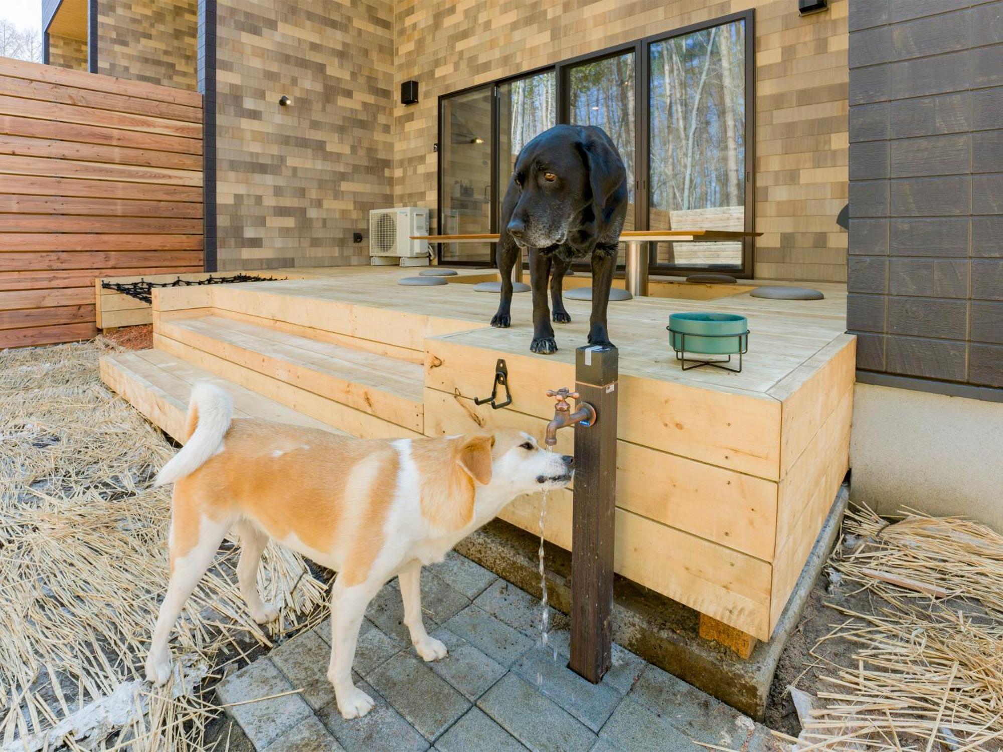 Rakuten Stay Villa Fujikawaguchiko Forest מראה חיצוני תמונה